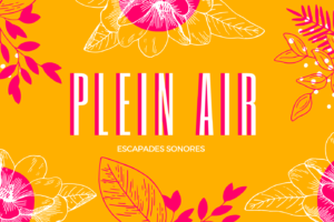 Plein Air <p>concerts à ciel ouvert en région Occitanie</p>