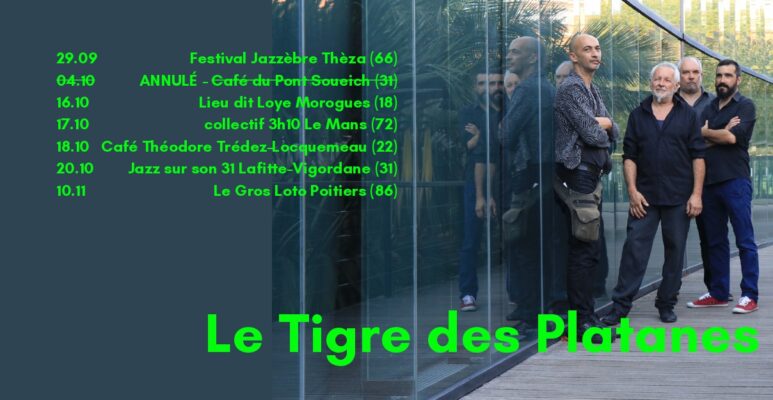 Le Tigre des platanes - Automne 2024