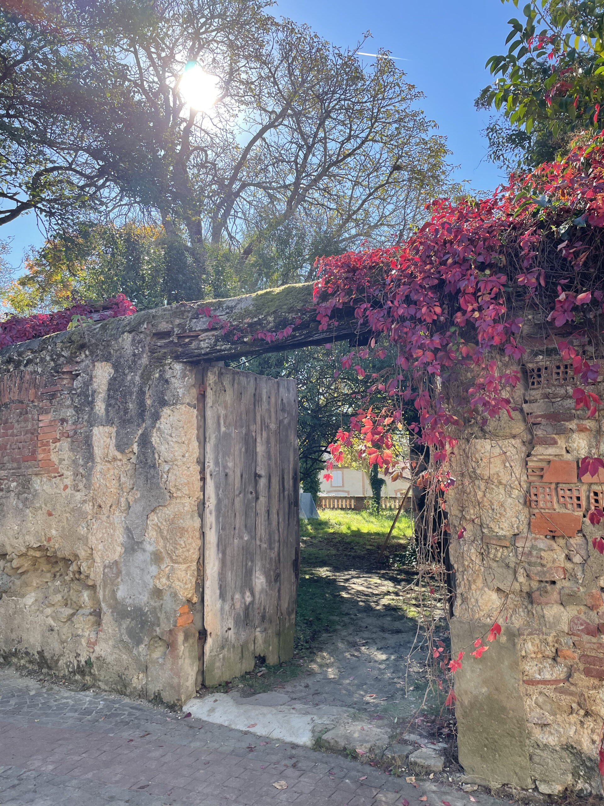 Simorezon2 ©Céline BlanchéIMG_6799