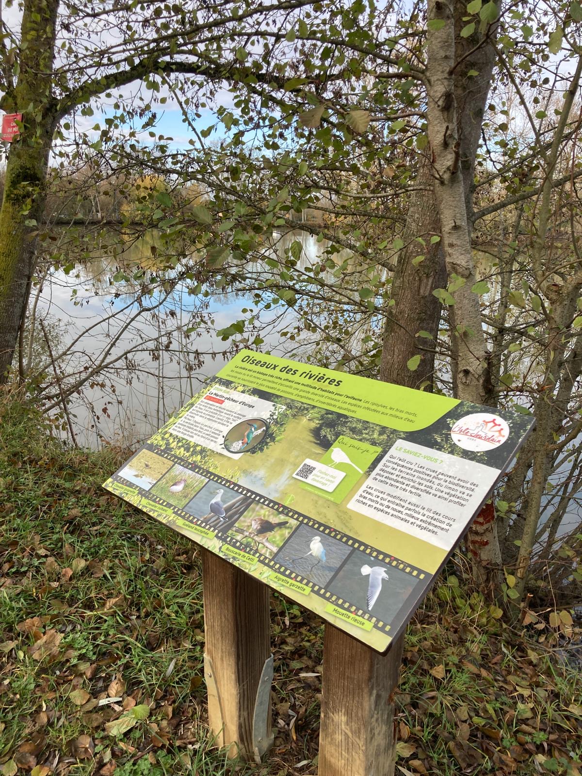 Dé(tournées)-Résidence repérage-Axe 1 -24