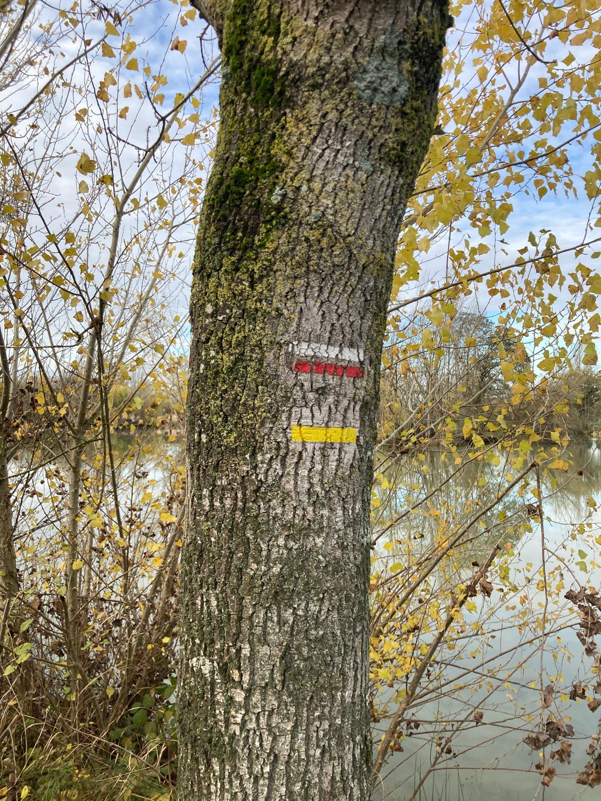 Dé(tournées)-Résidence repérage-Axe 1 -9